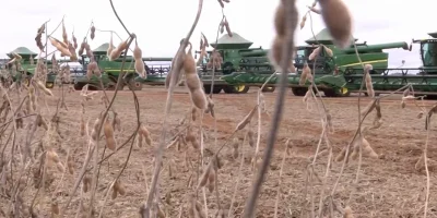 Endividamento rural de R$ 20 bilhões pressiona agenda do próximo governo