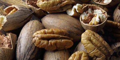 Exportação de noz-pecã enfrenta obstáculos logísticos e mudanças comerciais