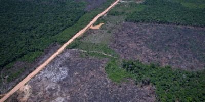 Fazenda define normas para o quinto leilão do Eco Invest Brasil voltado à transição ecológica