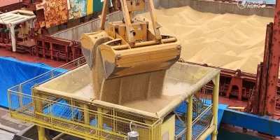 Gestão de custos e crédito: o novo desafio do produtor brasileiro frente ao mercado global