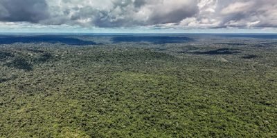 Governo federal autoriza captação de US$ 1 bilhão junto ao BID para o Eco Invest Brasil