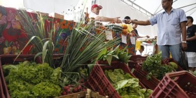 Governo prorroga até 2027 prazo para autônomos e produtores rurais obterem CNPJ