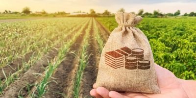 Crédito de R$ 18,5 bilhões é anunciado pelo governo para empresas afetadas por tarifas