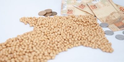 Soja mantém trajetória de alta no mercado brasileiro com demanda aquecida