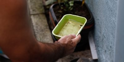 El Niño eleva risco de surtos de dengue e chikungunya no Brasil