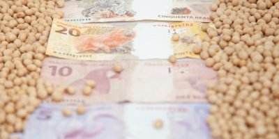 Soja mantém preços firmes com demanda aquecida e cautela do produtor brasileiro