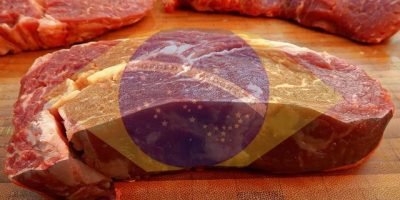 Carne bovina brasileira escapa de sobretaxa de 12,5% imposta pelos Estados Unidos