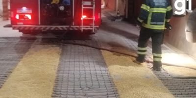 Incêndio em armazém de grãos mobiliza bombeiros na Br-163 em Mato Grosso