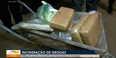 Mais de 200 kg de entorpecentes apreendidos em rotas do Rio Amazonas são destruídos pela Polícia Civil