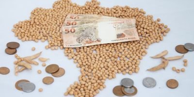 Mercado de soja mantém estabilidade com negociações limitadas no Brasil