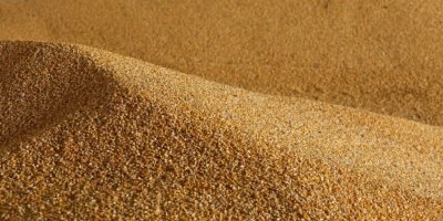 Milho registra valorização de quase 3% em julho mesmo com ritmo lento de negociações