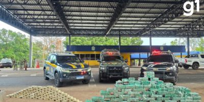Operação conjunta intercepta caminhão com 550 tabletes de cocaína em Mato Grosso