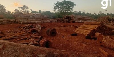 Operação contra desmatamento ilegal apreende quase 3 mil toras de madeira em Mato Grosso