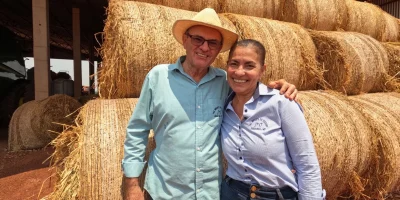 Produtividade cresce no Araguaia com consórcio entre grãos e gado