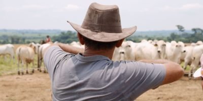 Produtores rurais sentem rejeição urbana apesar da imagem positiva do agronegócio