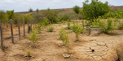 Projeto Sertão Vivo libera R$ 1,025 bilhão para garantir água e adaptação climática a 250 mil famílias