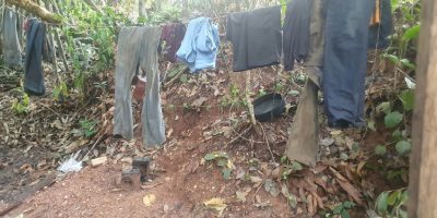 Quatro empregadores de Mato Grosso entram na lista suja do trabalho escravo