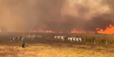 Queimadas em Mato Grosso disparam e colocam produtores rurais em estado de alerta