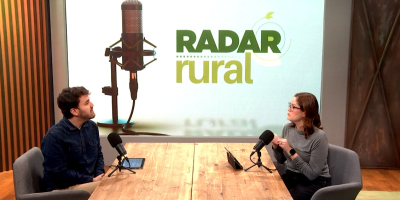 Radar Rural analisa impacto de tarifas dos EUA e perspectivas da safra de soja 2026/27