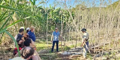 Sistema Appia da Embrapa recebe certificação e fortalece a agricultura familiar no Brasil