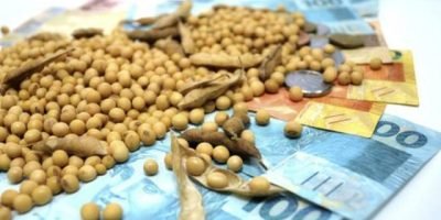 Soja mantém estabilidade no Brasil em dia de ritmo lento nos negócios