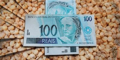 Soja mantém ritmo cauteloso no mercado brasileiro com oscilações pontuais