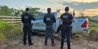 Sonegação de ICMS em transações de gado movimenta R$ 30 milhões em operação interestadual